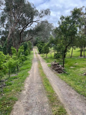 Spacious 4 bed, 2 lounge, 2 bath, Acre home with tree top views - Yarra Valley Gateway!